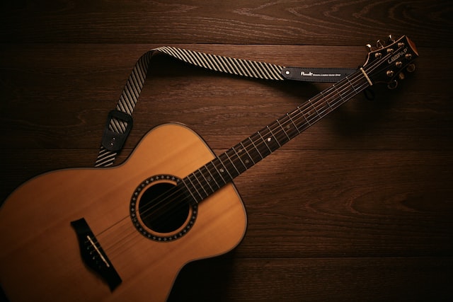 Guitar